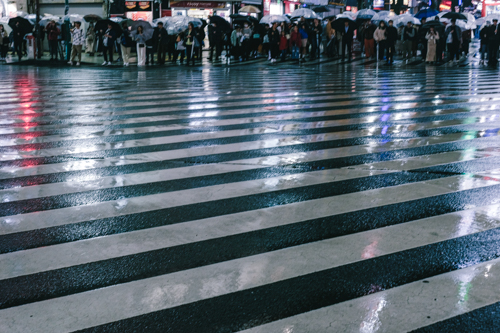 新宿の横断歩道
