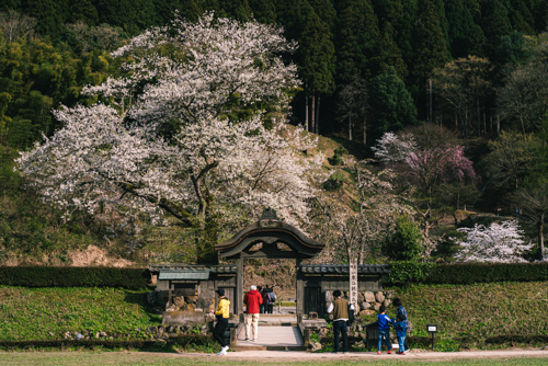 一乗谷朝倉氏遺跡
