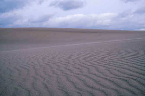 砂丘の風紋