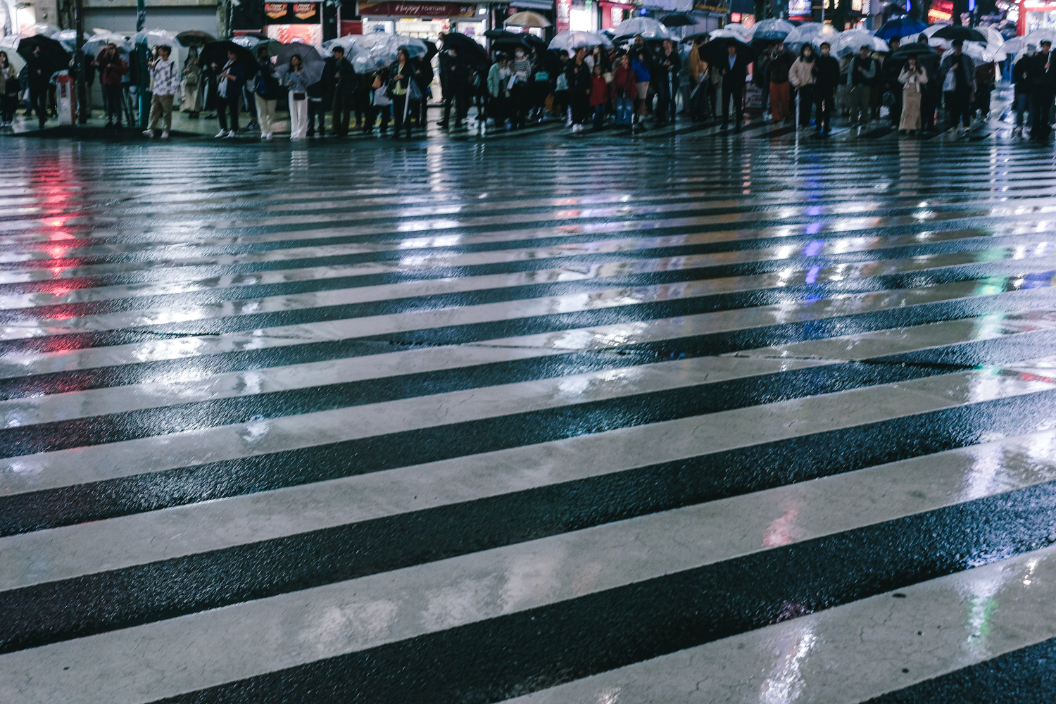 新宿の横断歩道