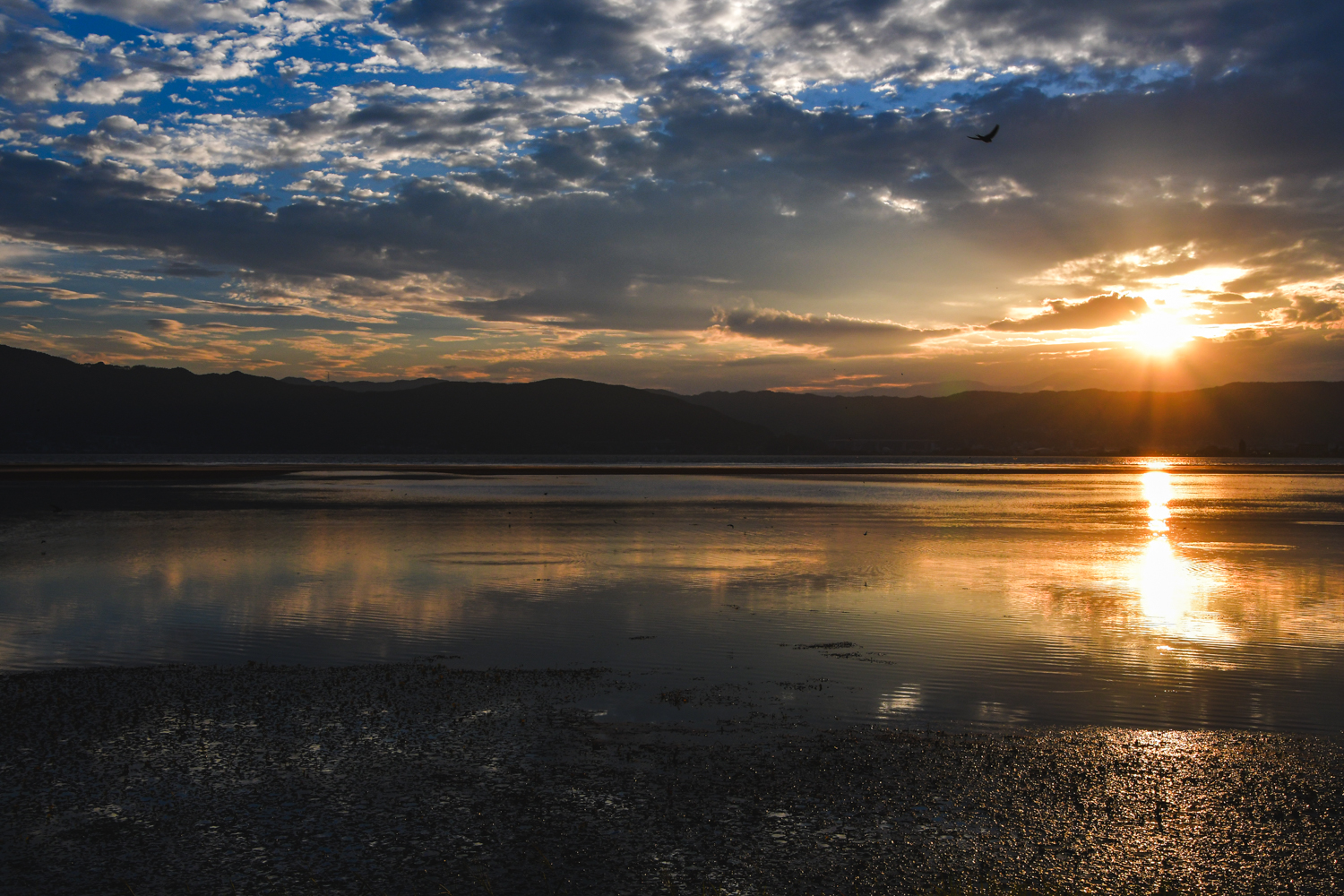 諏訪湖の夕景