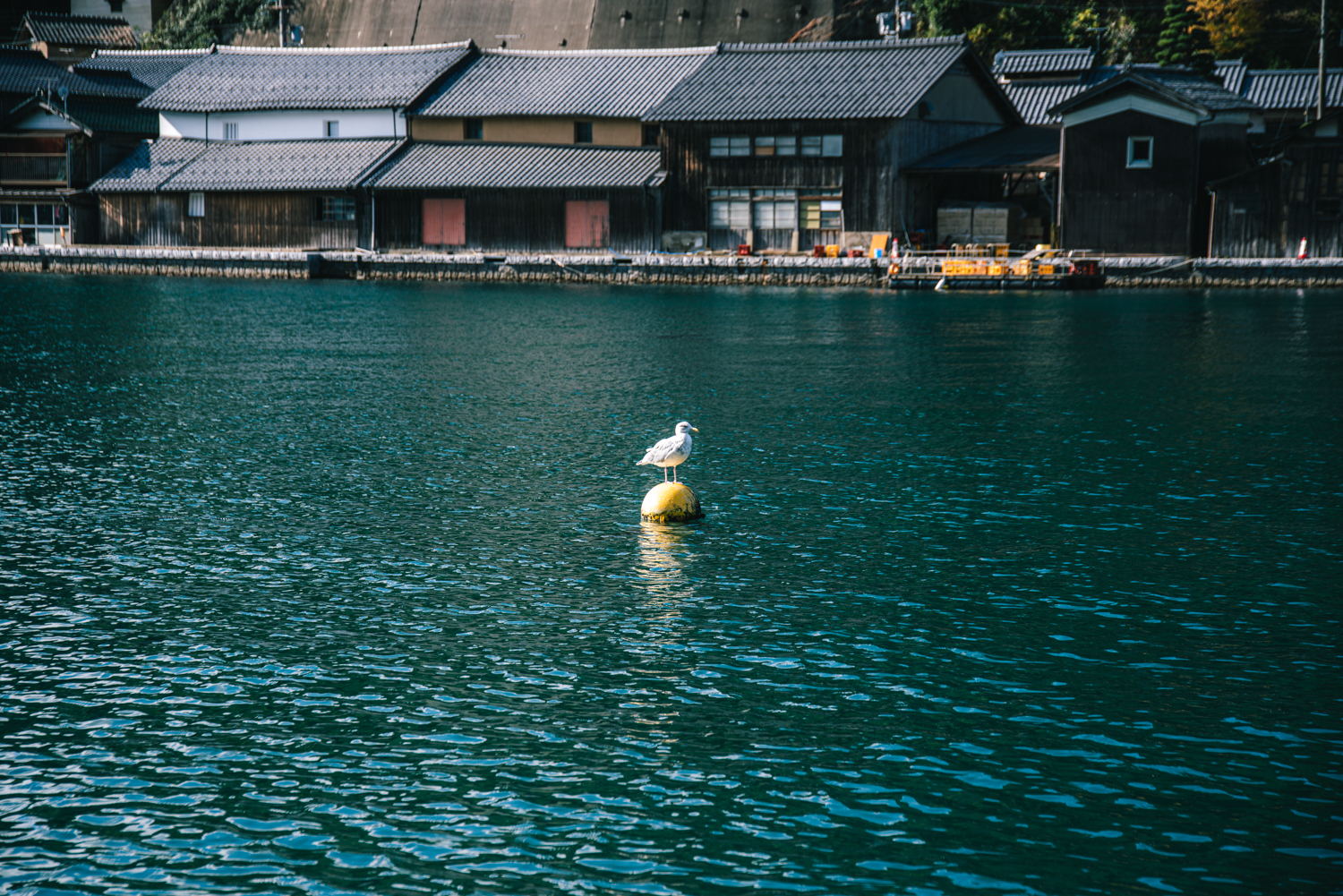 伊根