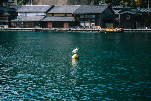 伊根